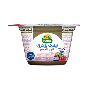 Nada Low Fat Red Fruits Greek Yogurt 160g