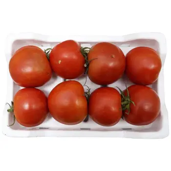 Tomato Family Pack