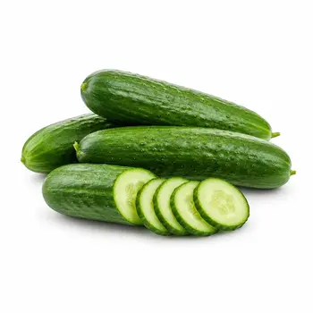 هيدروبونيك خيار صندوق 1كيلو