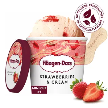 Haagen-Dazs Dazs Strawberry & Cream Ice Cream 100ml