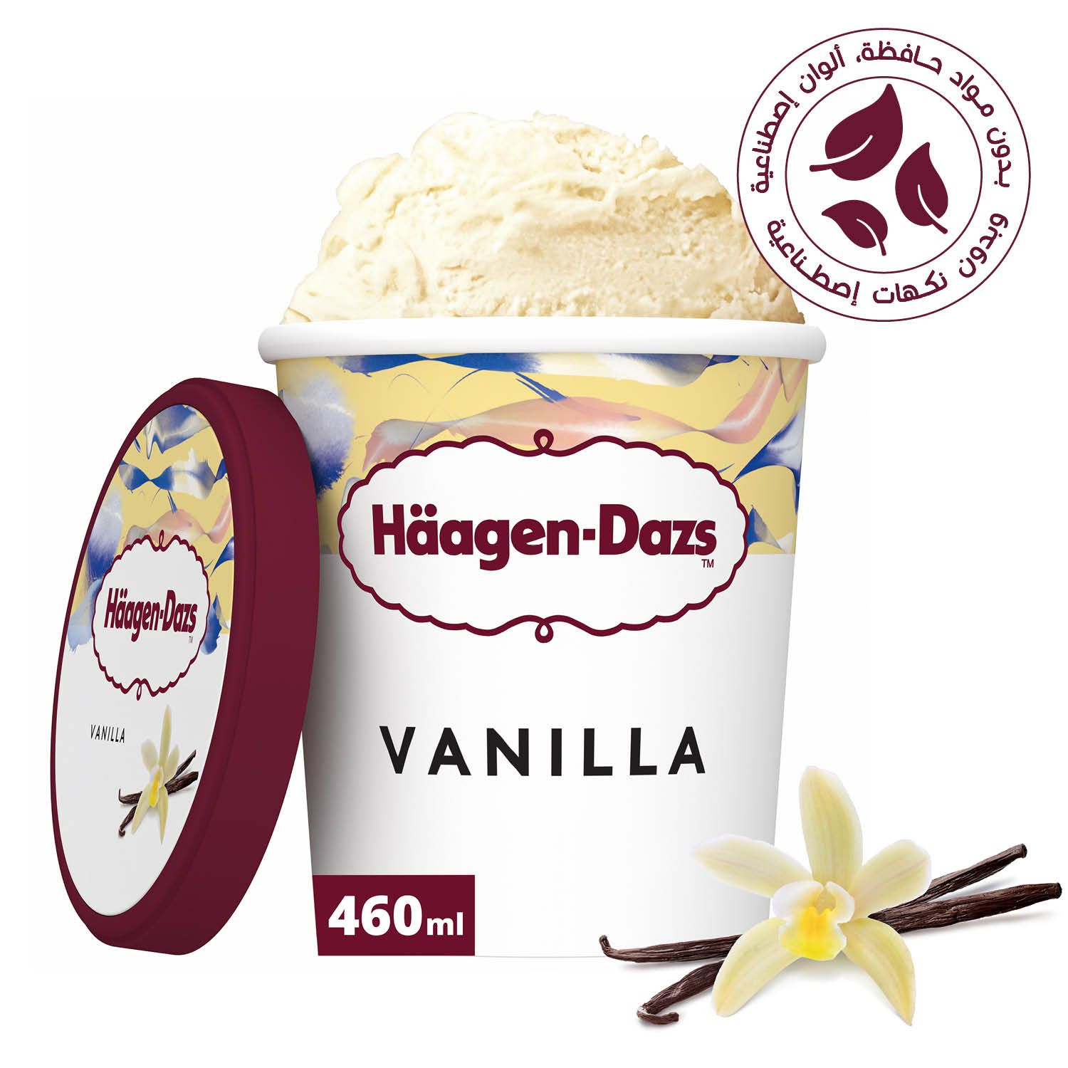 Haagen-Dazs Vanilla Ice Cream 460Ml