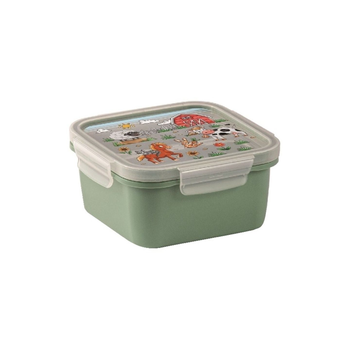 Snips Green-Clear Square Lunch Box 0.8L