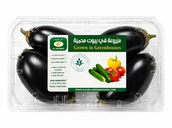 Hydroponic black eggplant Pack 400g