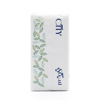 City Facial Tissue 160Sheets