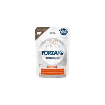 Forza10 Wet Food For Cats With Lamb For Kidney Health Support 80g