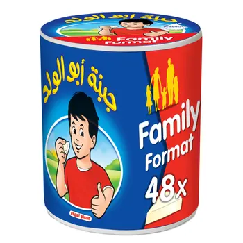 Regal Picon Cheese Triangles 48×720g
