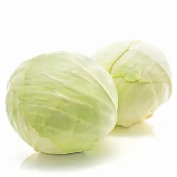 White Cabbage 1Piece