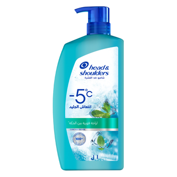 Head & Shoulders Ice Fresh Shampoo 1L