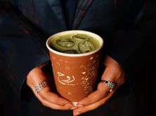 ماتشا