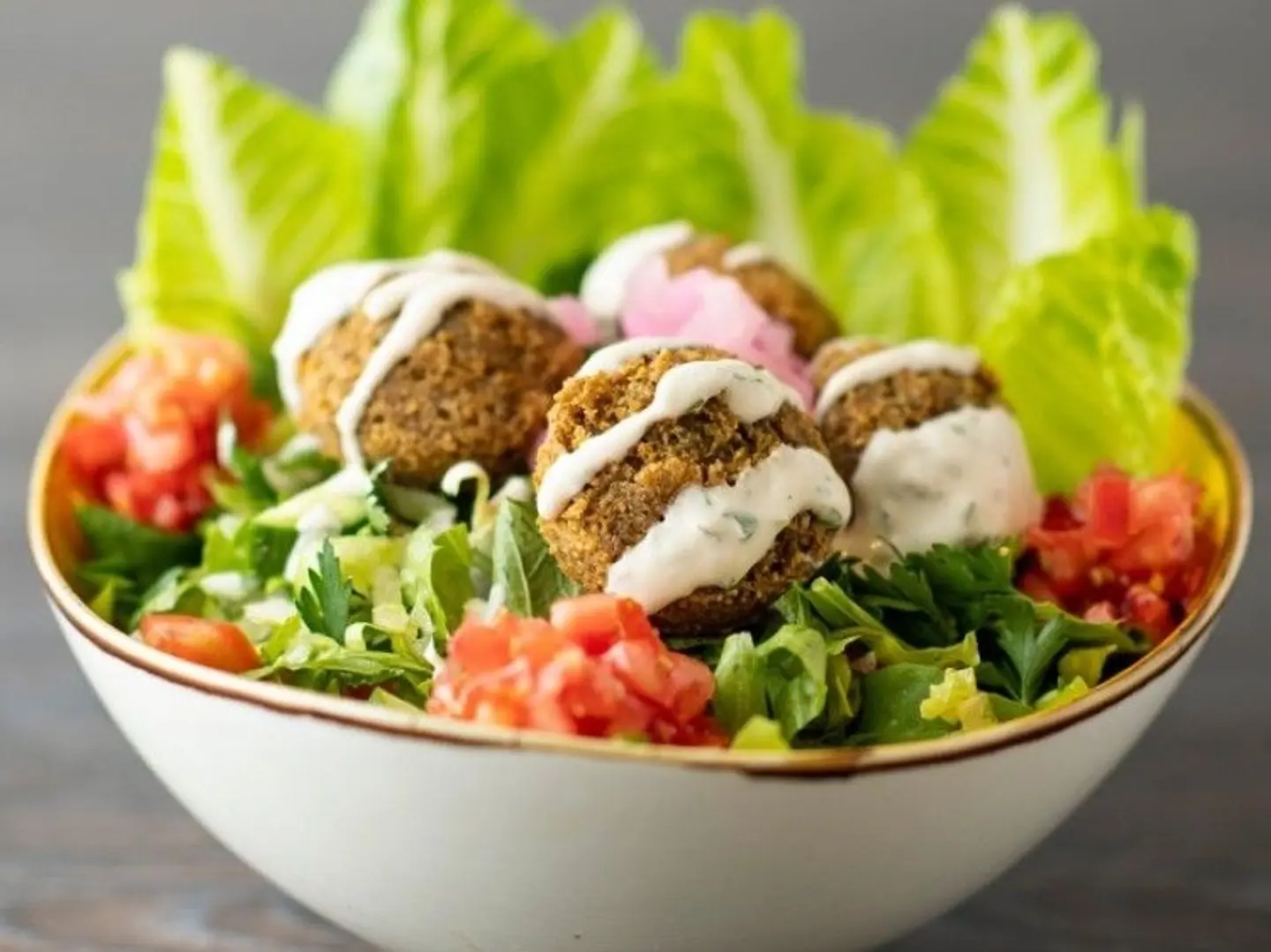 Falafel With Salad