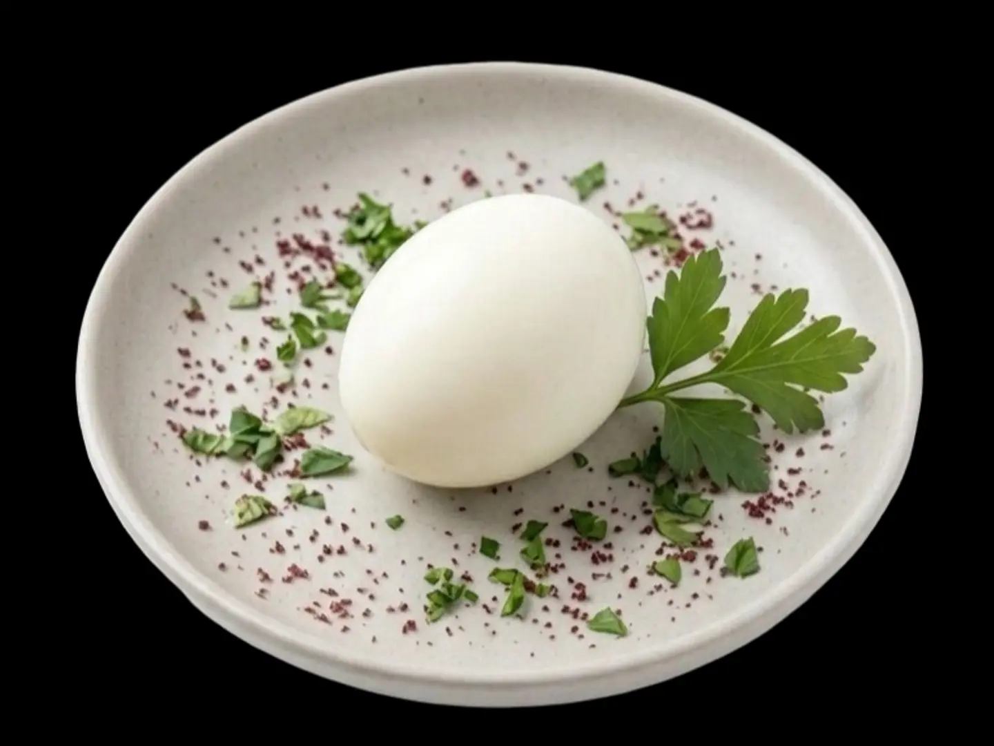An Egg