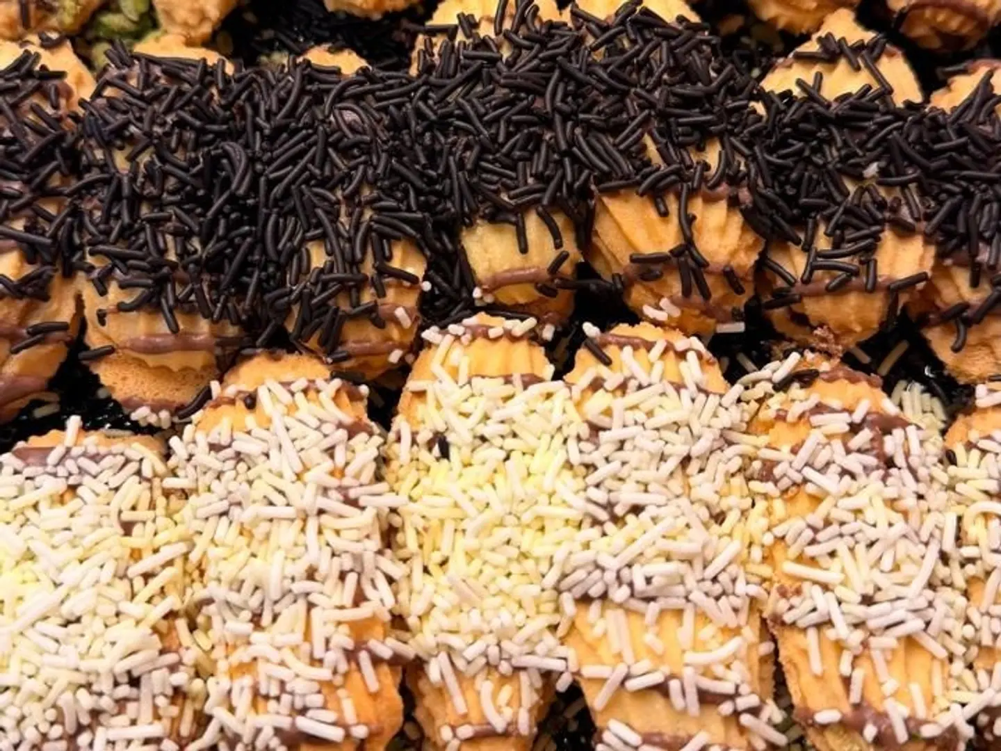 بيتي فور حالي