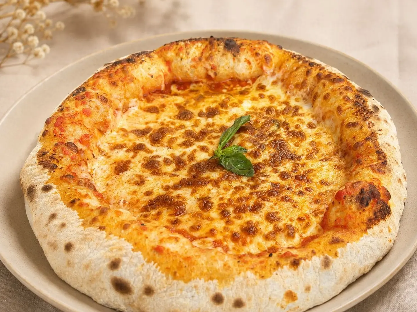 Pizza Margherita