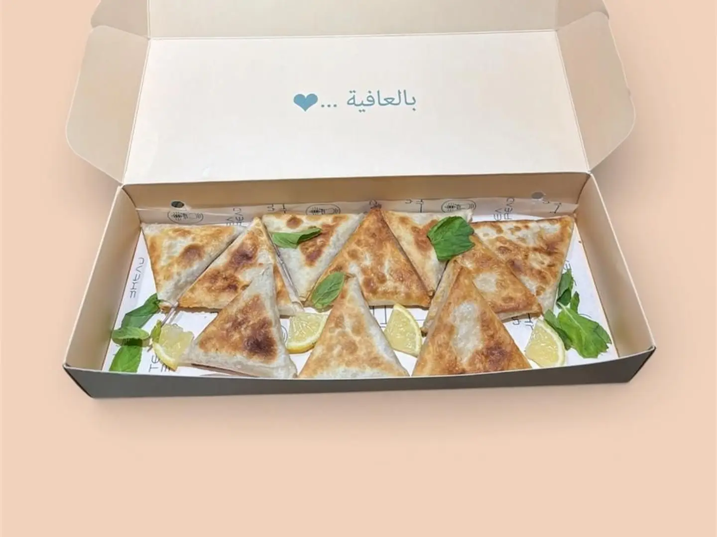 Chicken Samosas Ten Pieces