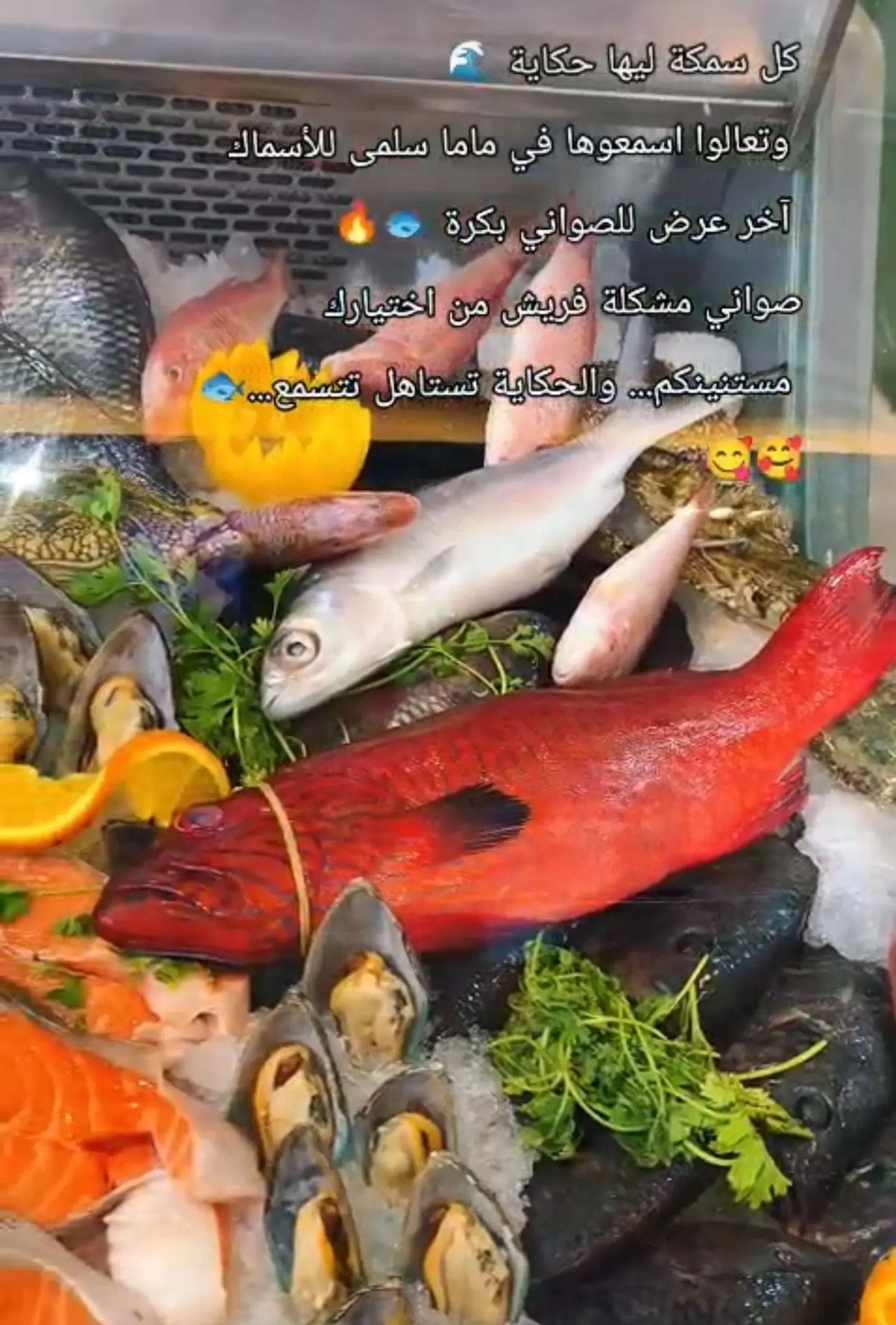 Bayad