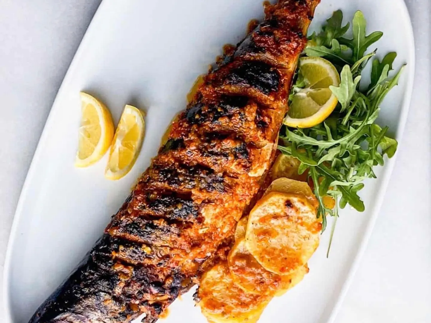 Mackerel