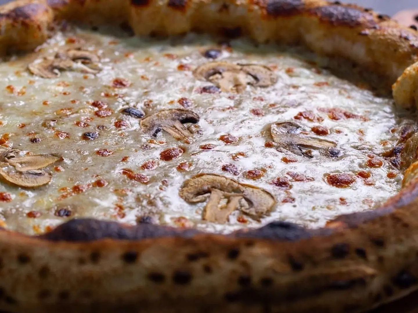 Truffle Pizza