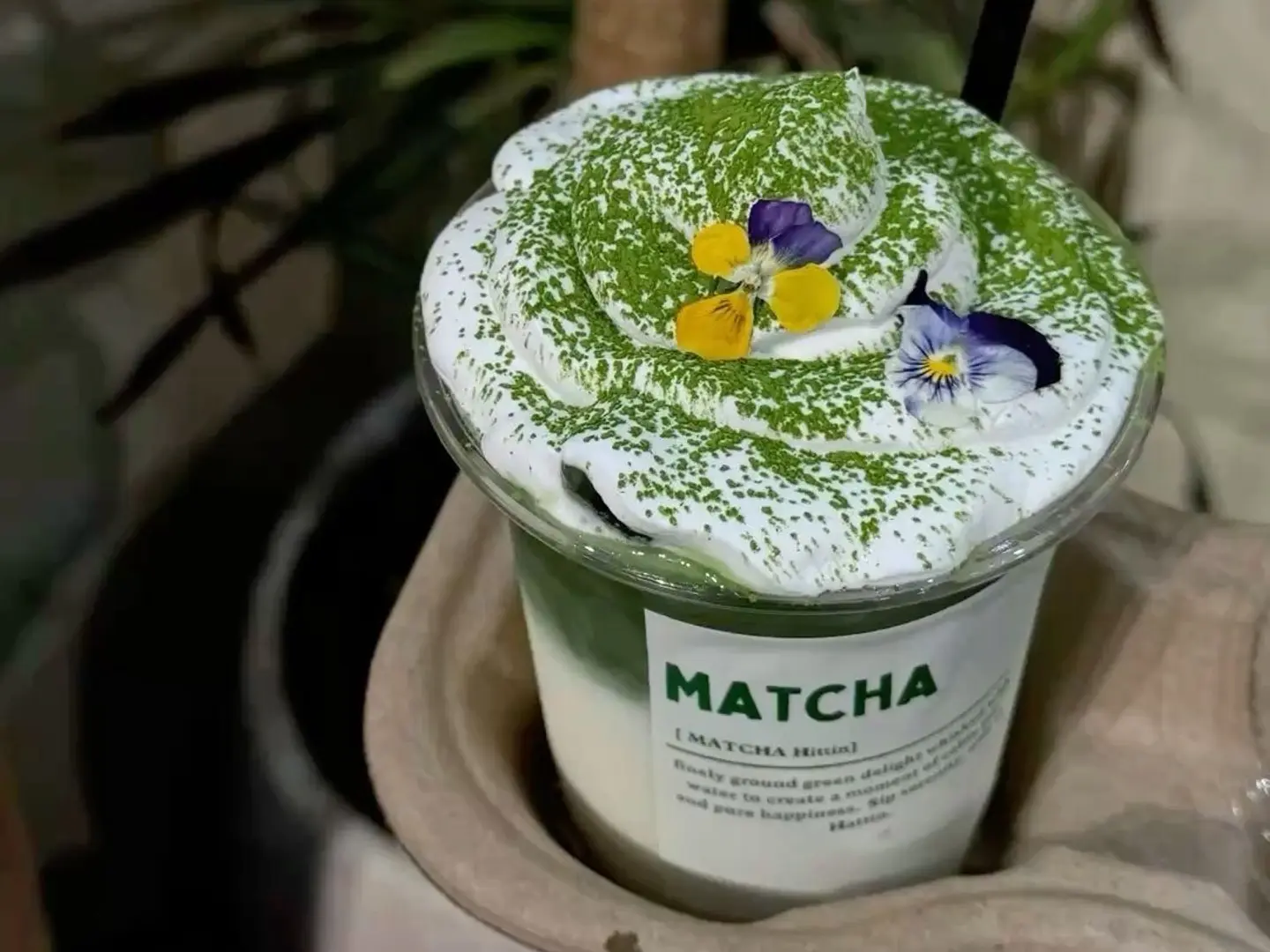 Matcha Cream Foam