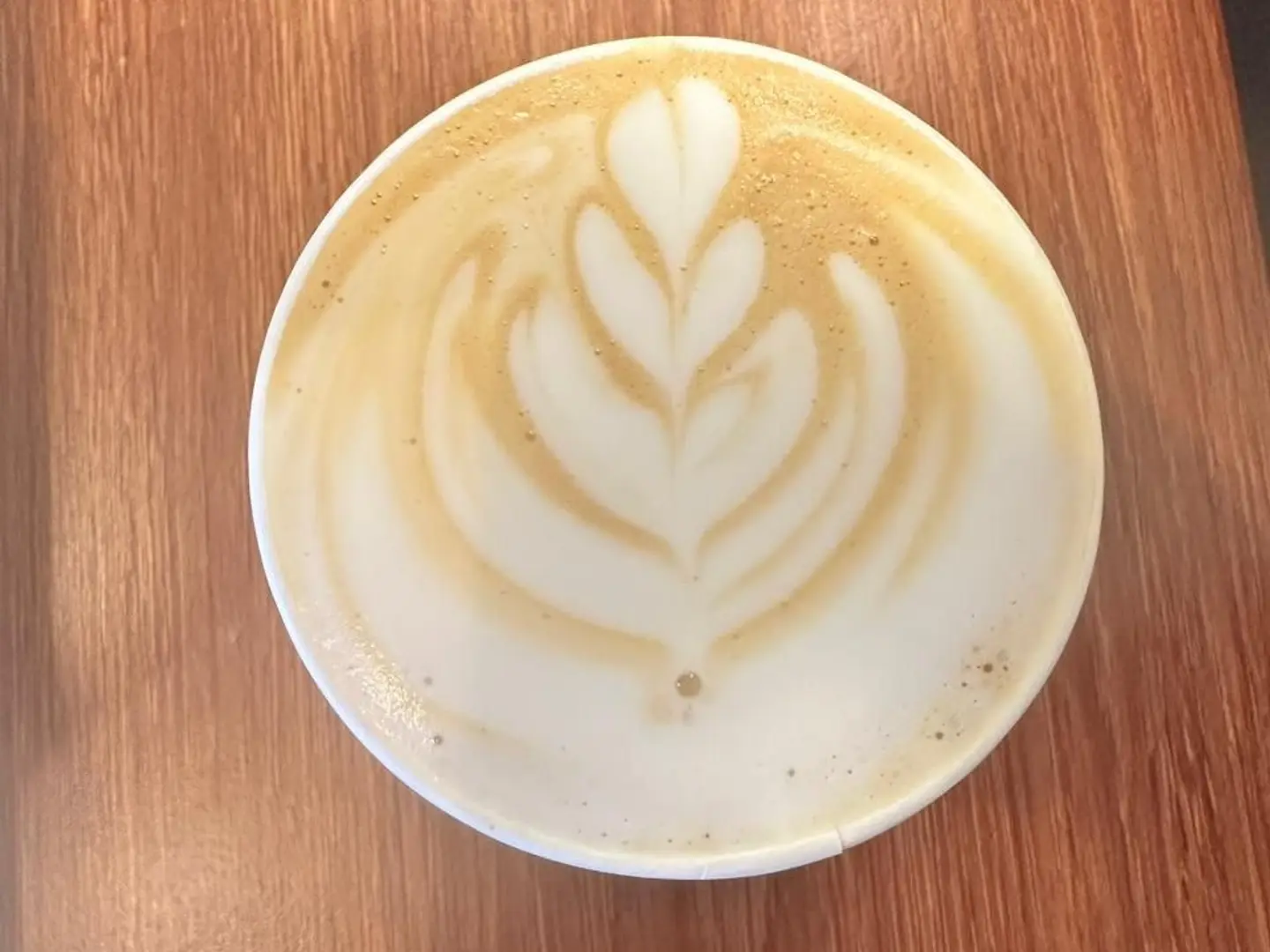 Cortado Hot