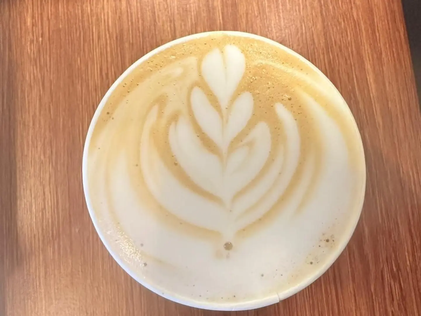 Cappuccino Hot