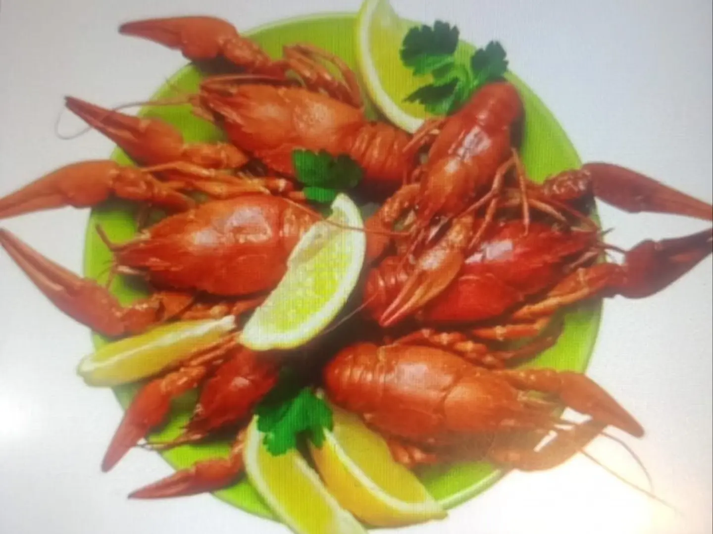 طبق كابوريا مشوي